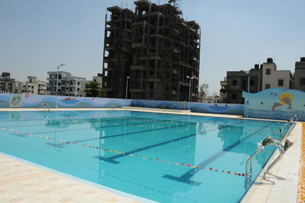 commercial swimming pool designer